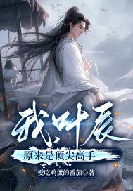 主人公是叶辰是什么 主人公是叶辰是什么