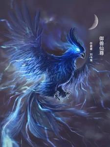御兽仙师