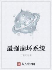 崩坏系统 崩坏系统
