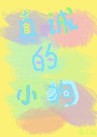 真诚小狗免费阅读 真诚小狗免费阅读