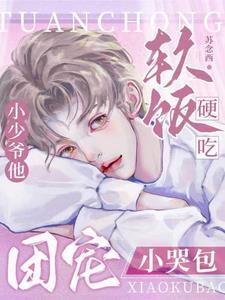 团宠小少爷重生免 团宠小少爷重生免