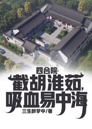 养老农庄四合院 养老农庄四合院