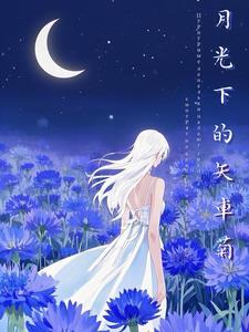 月光下的骑行 月光下的骑行