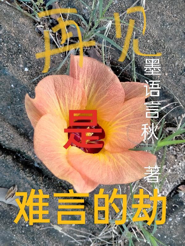 再见在见再见难 再见在见再见难
