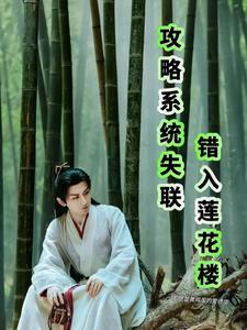 攻略系统出错了 攻略系统出错了