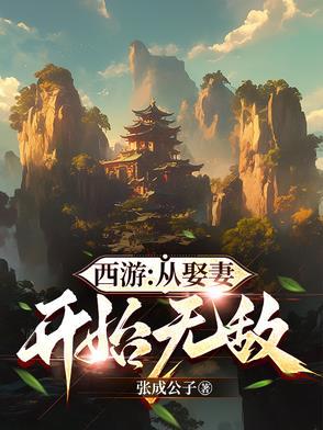 西游开局娶 西游开局娶