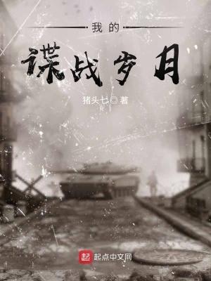长篇军统谍战 长篇军统谍战