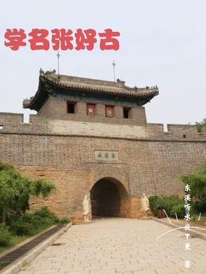 张好好诗书法欣赏 张好好诗书法欣赏