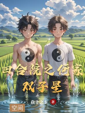 四合院何家双子星免费观看 四合院何家双子星免费观看