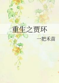重生之贾环有空间 重生之贾环有空间