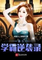 顶级赘婿全集免费观看 顶级赘婿全集免费观看